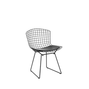 Bertoia Kids